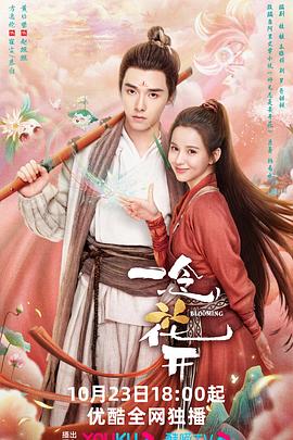 盖州seo网络优化